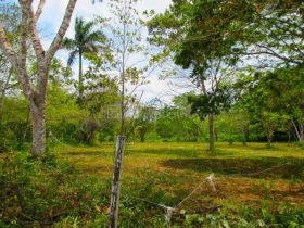 Lot in San Ignacio, Cayo district, Belize – Best Places In The World To Retire – International Living